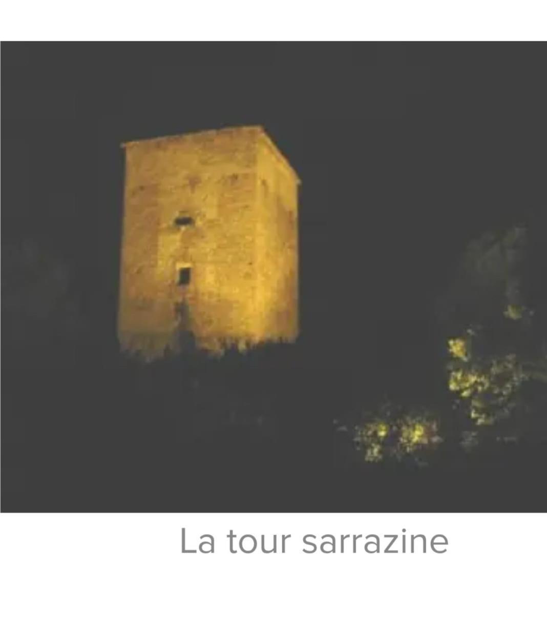 La Jolie Vue Et La Maison De La Tour- Cordes-Sur-Ciel Les Cabannes  Esterno foto
